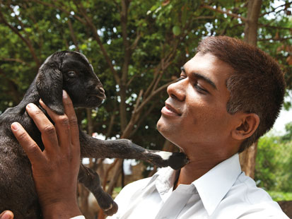 MEETING GOAT MAN - uppercrustindia MEETING GOAT MAN - uppercrustindia