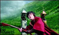 Harry Potter plays Quidditch, a popular team sport at Hogwarts.