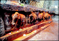 The artwork at the temple has elements 
of similarity with that of Konark. Elephants, are portrayed in plenty.