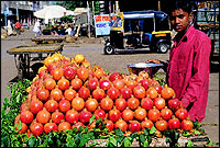 The Aurangpura Market where Maharashtrian and Muslim fruit and vegetable sellers operate in great harmony and where fresh greens and luscious fruit come from villages nearby.