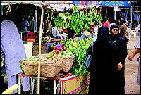 Muslim women check out the green guavas on sale by the road to Daulatabad.