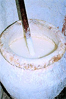 Katha, or katechu juice, which Sharfubhais mother used to make exceptionally well.