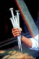 These foot-long stainless steel nails cost Rs. 15 each.