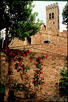 A glimpse of the magnificent Terriccio Castle.