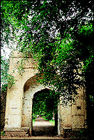 Himayat Bagh is a lovely place 
in natural green surroundings.