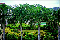 A glimpse of the pool among trees in the landscaped gardens.