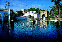 The large water tank in which Khol fish gracefully glide around waiting to be fed by tourists.